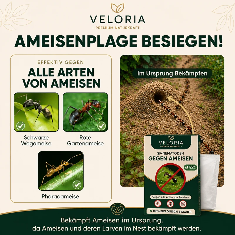 VELORIA SF-Nematoden gegen Ameisen