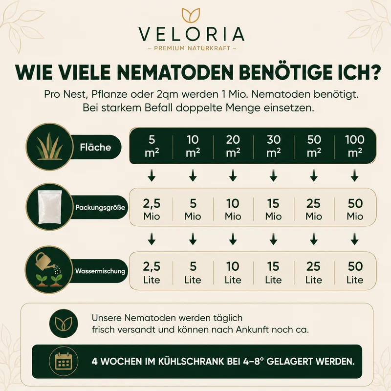 VELORIA SF-Nematoden gegen Ameisen