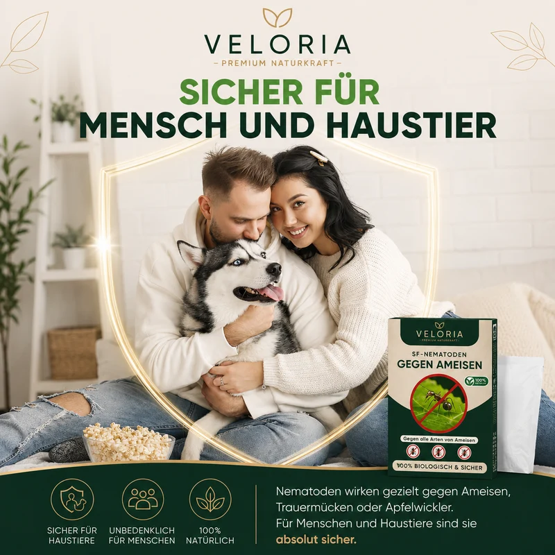 VELORIA SF-Nematoden gegen Ameisen