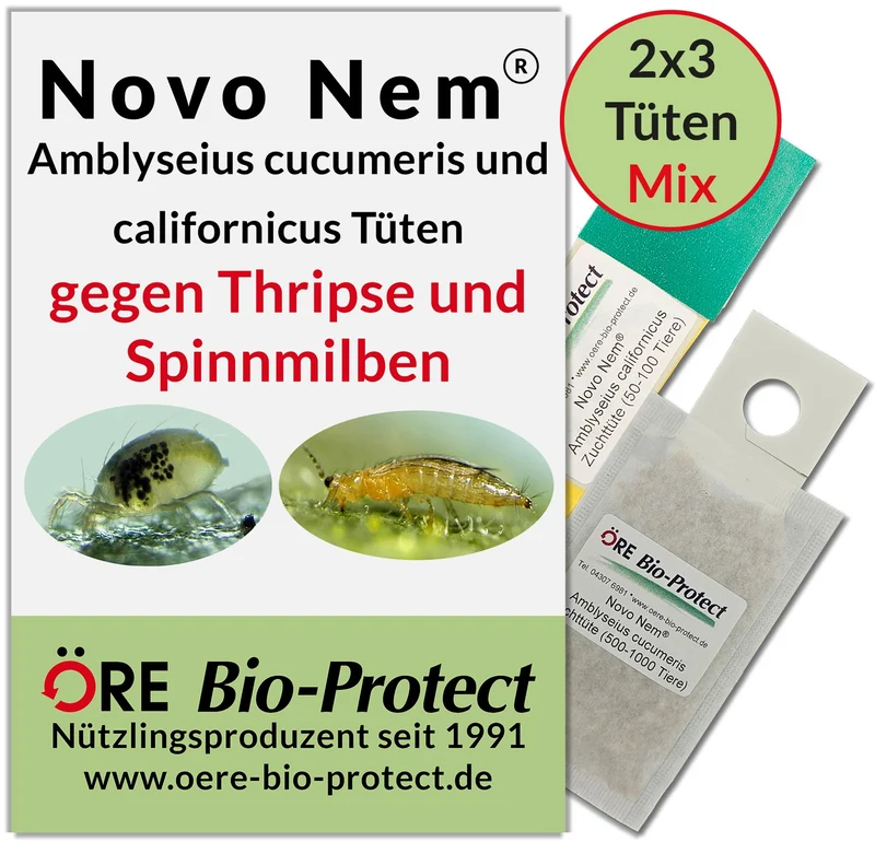 Raubmilben Kombipack - Tüten gegen Thripse und Spinnmilben an Zierpflanzen oder Gemüse, biologisch und umweltfreundlich