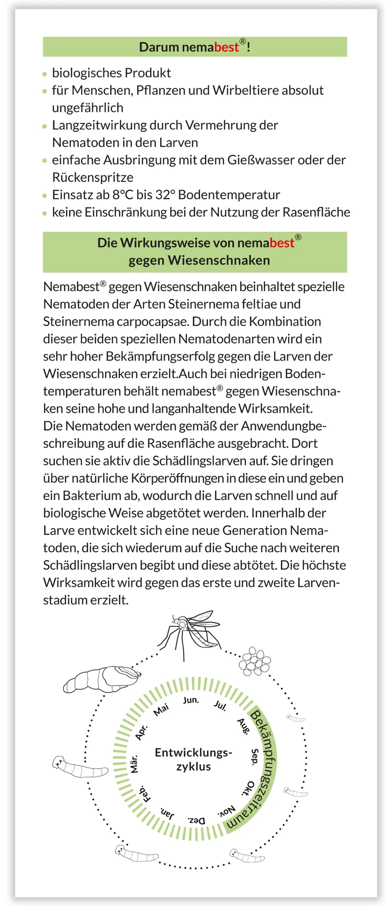 nemabest® SC+SF Nematoden gegen Wiesenschnaken (Tipula)