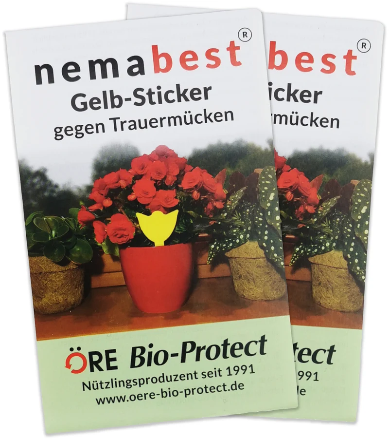 nemabest® Gelb-Sticker gegen Trauermücken, steckbar und giftfrei
