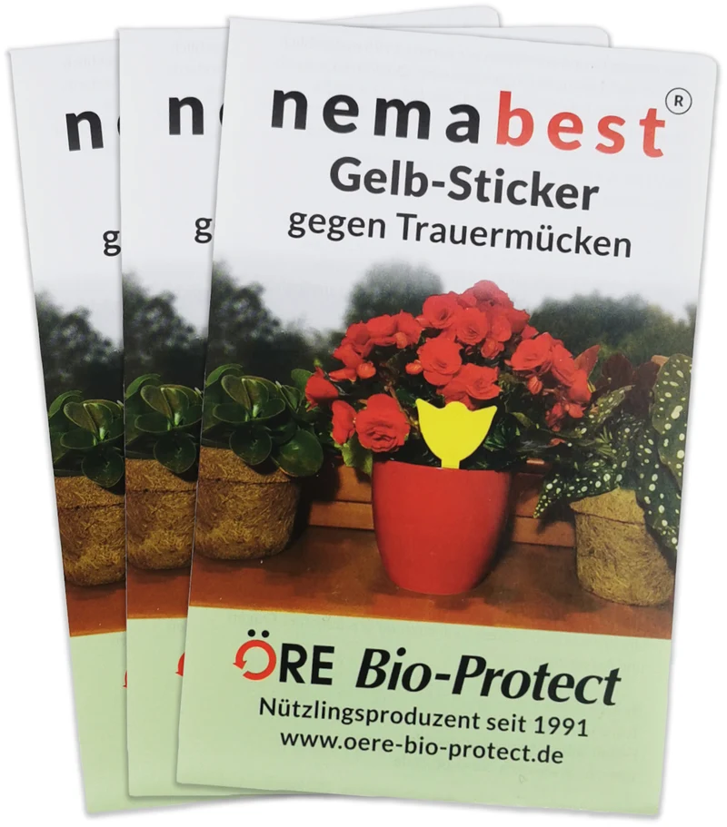nemabest® Gelb-Sticker gegen Trauermücken, steckbar und giftfrei