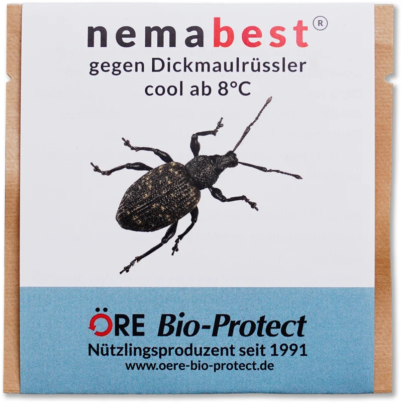 nemabest® cool HB+SF Nematoden gegen Dickmaulrüsslers