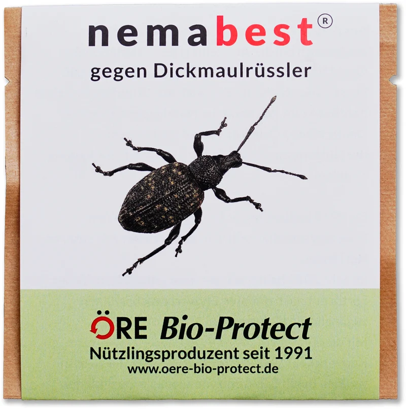 nemabest® HB Nematoden gegen Dickmaulrüssler
