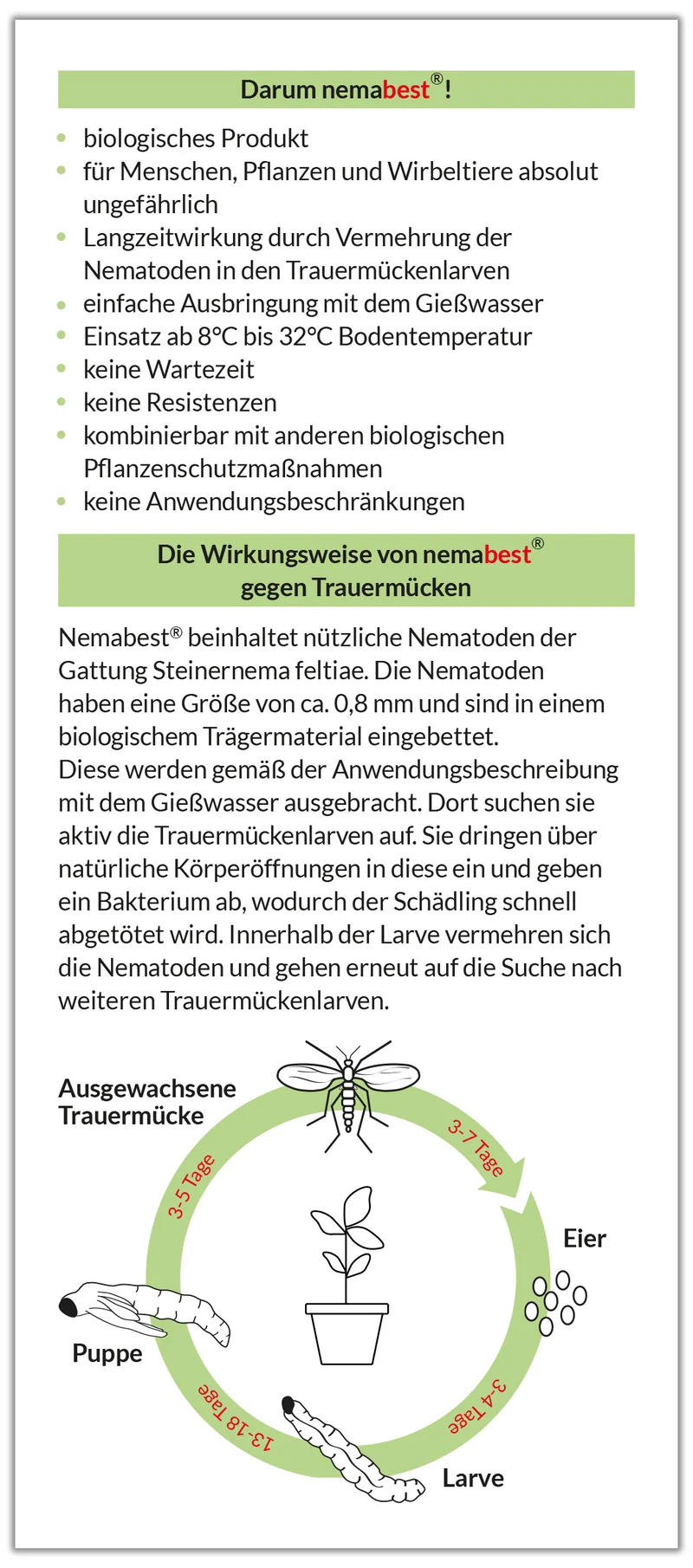 nemabest® SF Nematoden gegen Trauermücken