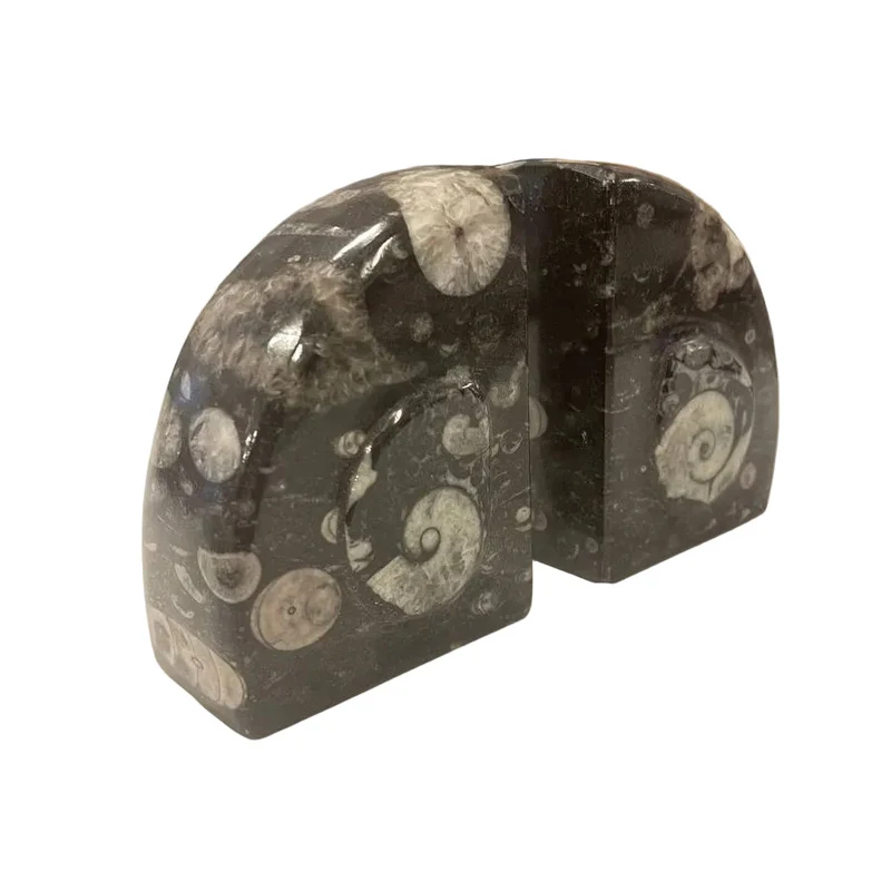 Goniatite Fossil Bookends | Moroccan Stone Wedge Pair | 10cm