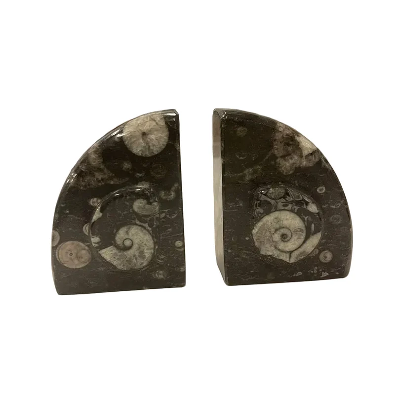 Goniatite Fossil Bookends | Moroccan Stone Wedge Pair | 10cm