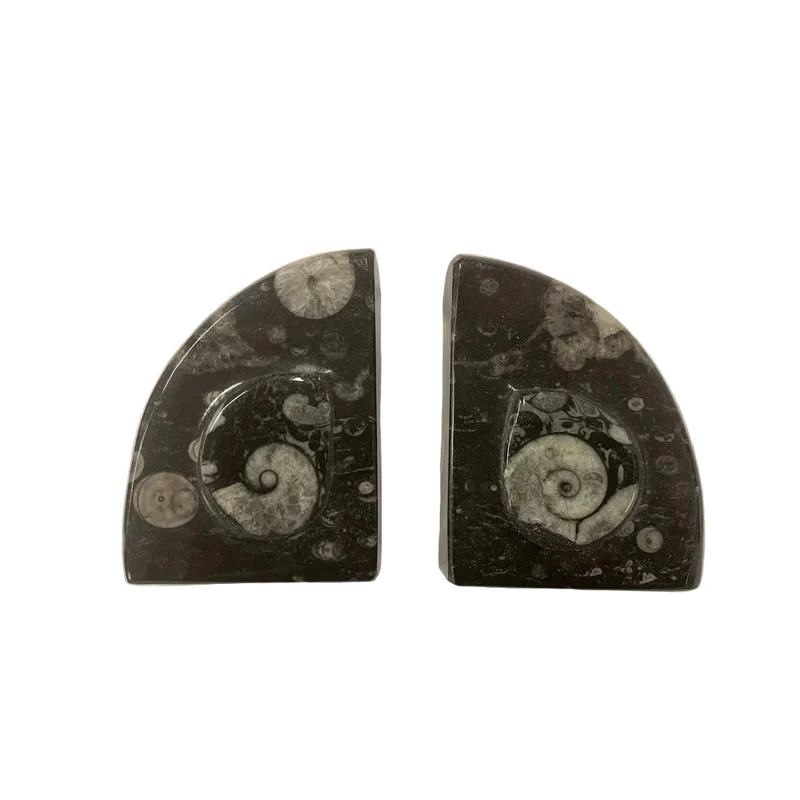 Goniatite Fossil Bookends | Moroccan Stone Wedge Pair | 10cm