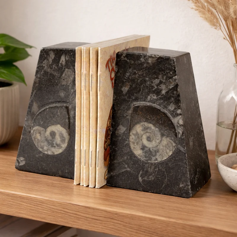 Goniatite Fossil Bookends | Moroccan Stone Wedge Pair | 10cm