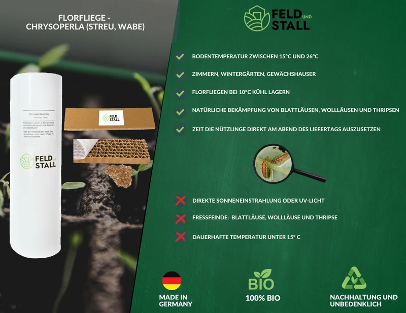 Florfliegen - Natürliche Schädlingsbekämpfung von Blattläusen, Wollläusen und Thripsen in Zimmern, Wintergärten und im Gewächshaus