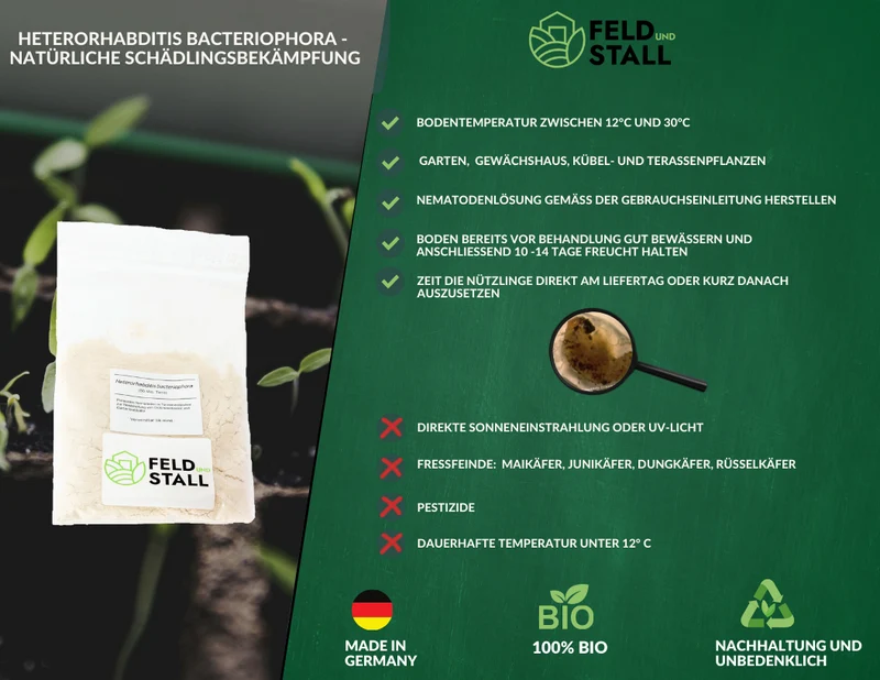 Heterorhabditis Bacteriophora Nematoden - Natürliche Bekämpfung von Gartenlaubkäfern, Maikäfern, Junikäfern, Dungkäfern, Rüsselkäfern