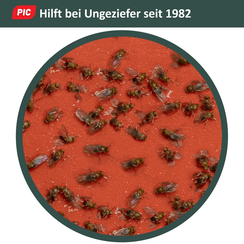 PIC Fruchtfliegenfalle