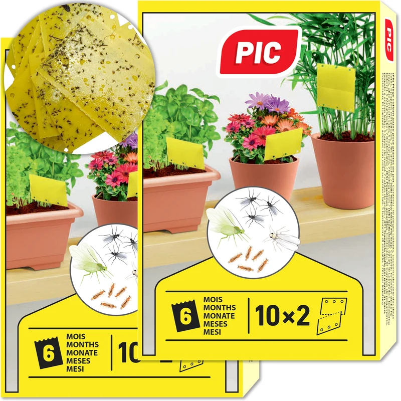 PIC Gelbfalle (Gelbtafel, Gelbsticker)