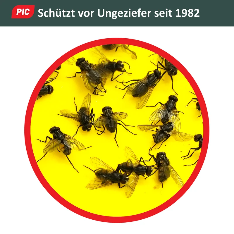 PIC Gelbfalle (Gelbtafel, Gelbsticker)