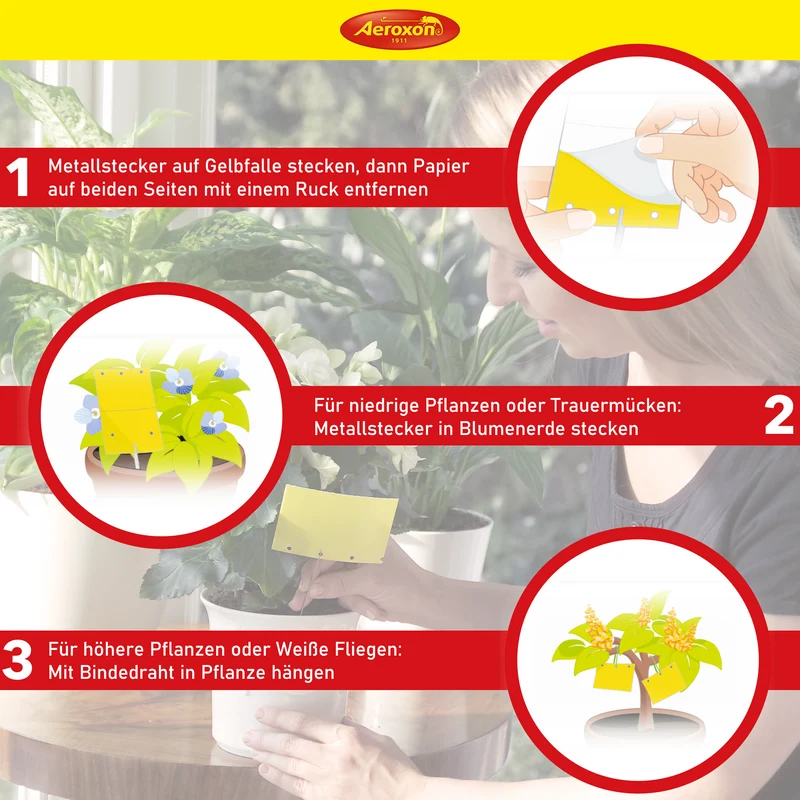 Aeroxon Gelbfalle (Gelbtafel, Gelbsticker)