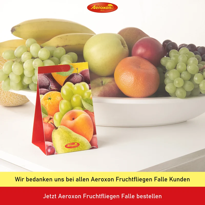Aeroxon Fruchtfliegenfalle