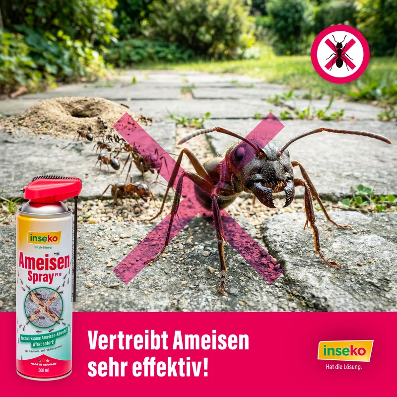 1x inseko Ameisenspray 500ml
