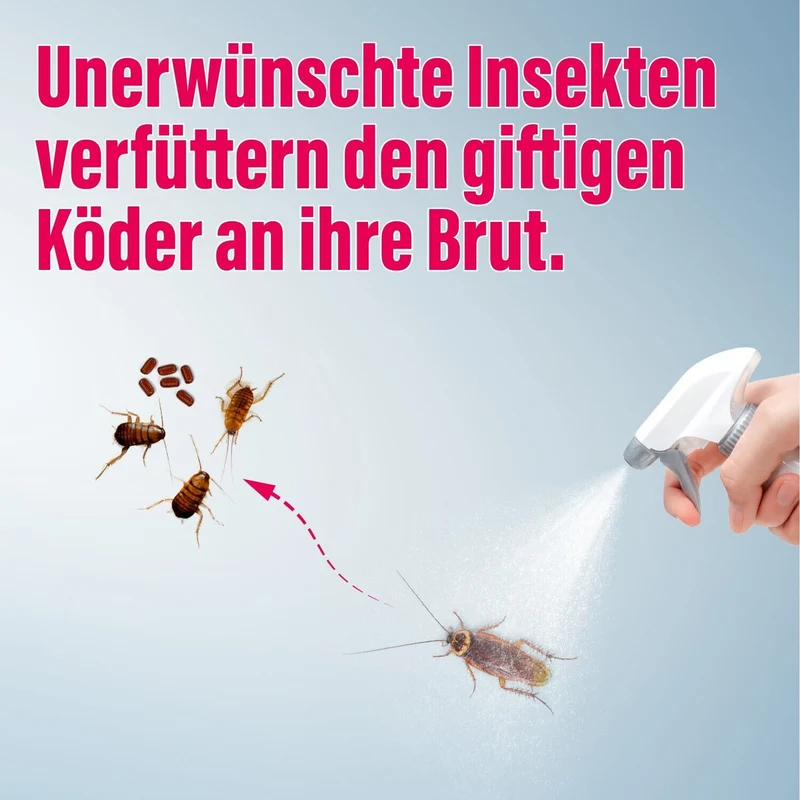 1x inseko Insektenspray 750ml