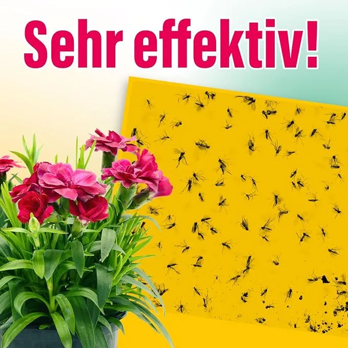21x inseko Gelbsticker