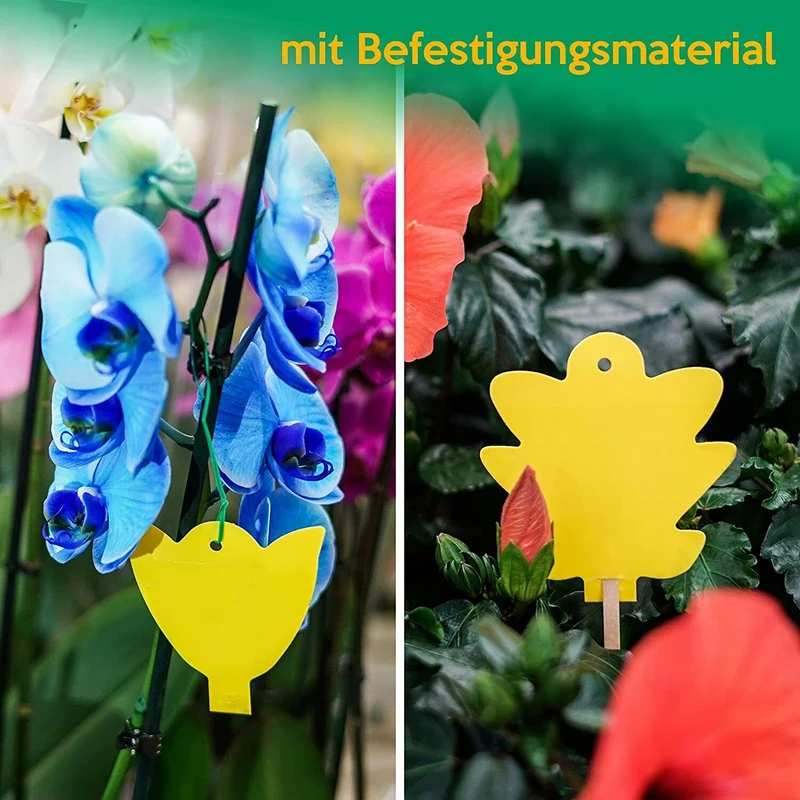 15x inseko Profi Gelbsticker Fliegenfallen