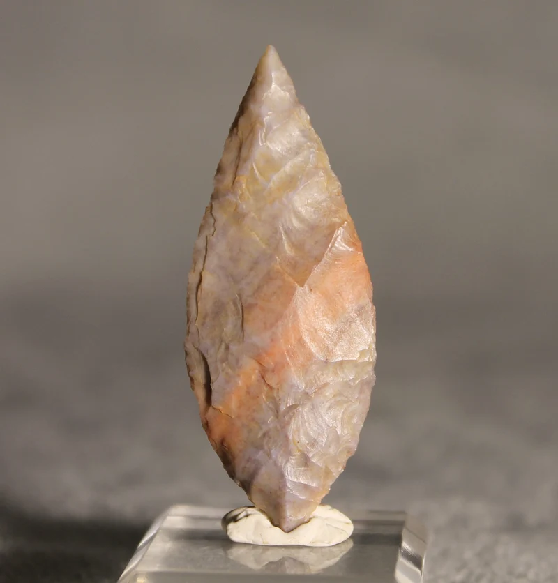 Neolithic Multicolour Agate Flint Leaf-Shaped Arrowhead – 4.9 cm | Ténéré, Mali