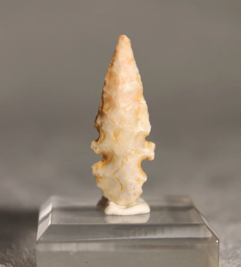 Neolithic Agate Flint Foliate Arrowhead – 3 cm | Ténéré, Mali