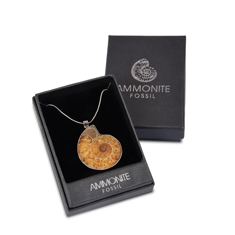 Fossil Ammonite Pendant | Genuine Natural History Jewellery | Gift Boxed