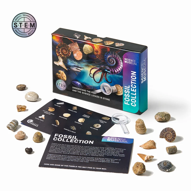 Science Museum Fossil Collection Kit