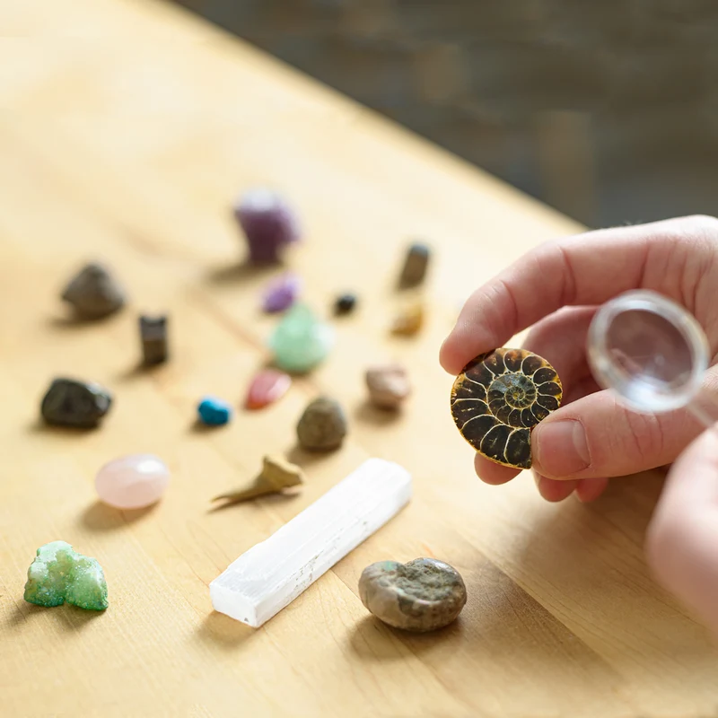 Science Museum Fossil & Mineral Discovery Kit