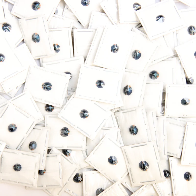 FIVE (5) Steelblue Ladybirds (Halmus chalybeus) A1 Entomology Specimens