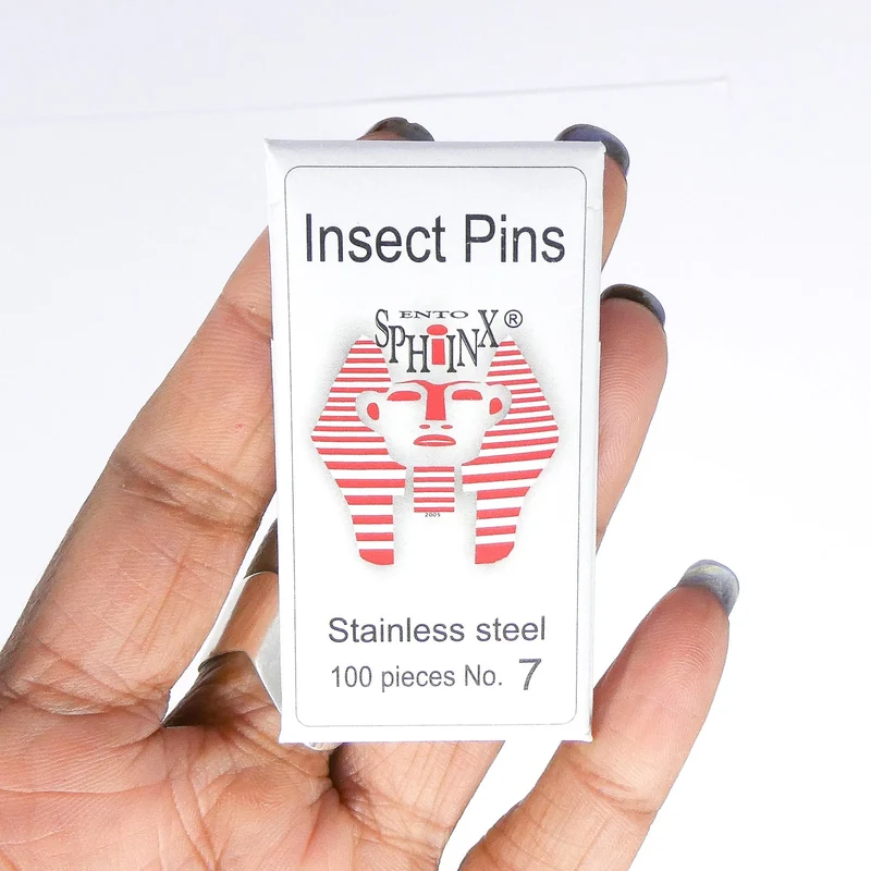 Stainless Steel Entomology Pins | English Style | 100 Pack