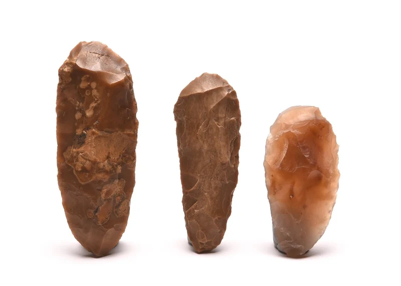 Genuine Neolithic Flint Tranchet Axes | Set of 3 | Western Sahara | c.4000–6000 BCE
