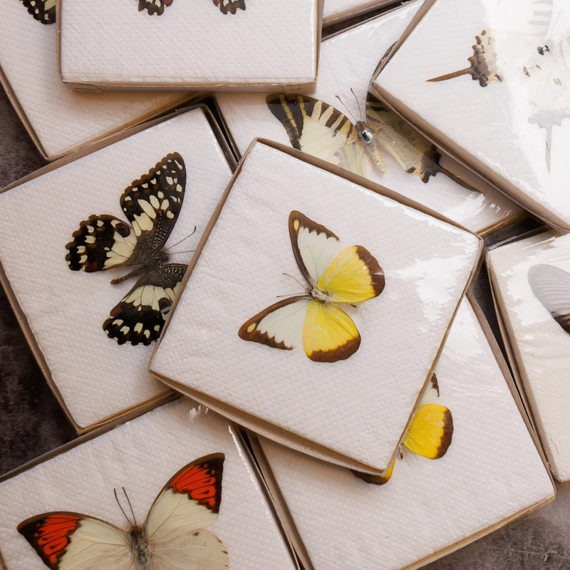 A1 Spread Butterfly Specimens, Pack Sizes 1–25