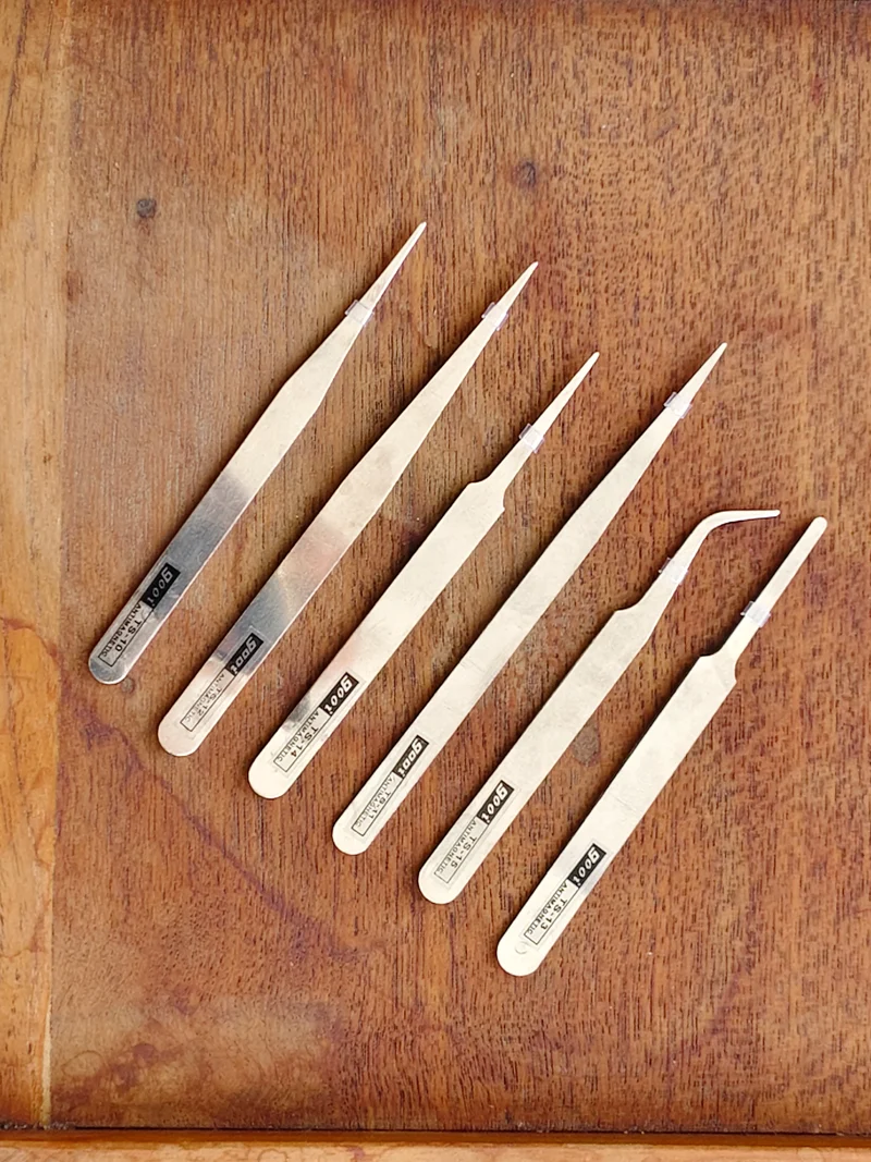 Professional Entomology Tool Set – Stainless Steel Forceps & Setting Needle for Specimen Mounting (7-pieces)