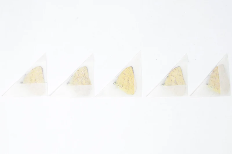 5 x Phoebis argante | The Apricot Sulphur Butterflies | A1 Unmounted Specimens