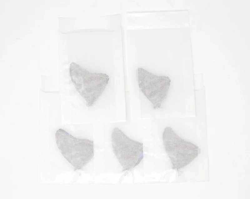 2 x Adonis Blue Morpho Butterflies | Morpho adonis A1 Unmounted Specimens