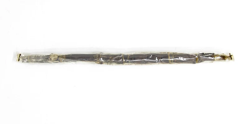 2 x Tirachoidea westwoodi | Giant Stick Insects | Female +/- 200mm | A1 Unmounted Specimens