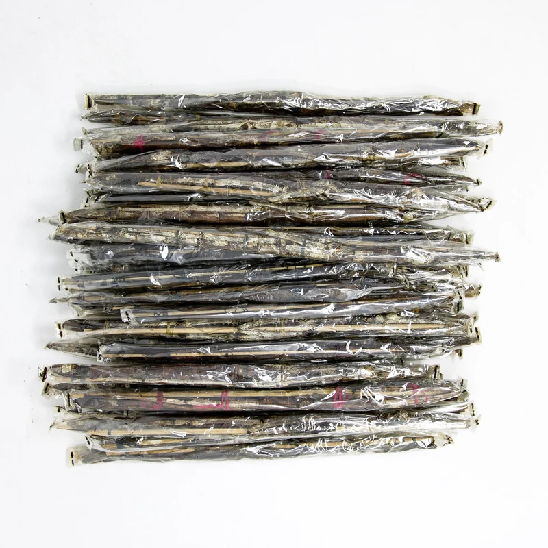 2 x Tirachoidea westwoodi | Giant Stick Insects | Female +/- 200mm | A1 Unmounted Specimens