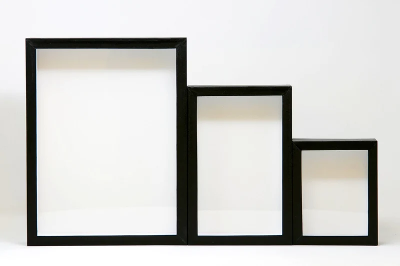 Entomology Box Frame Butterfly Display Case with Glass Lid
