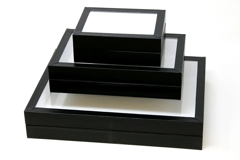 Entomology Box Frame Butterfly Display Case with Glass Lid