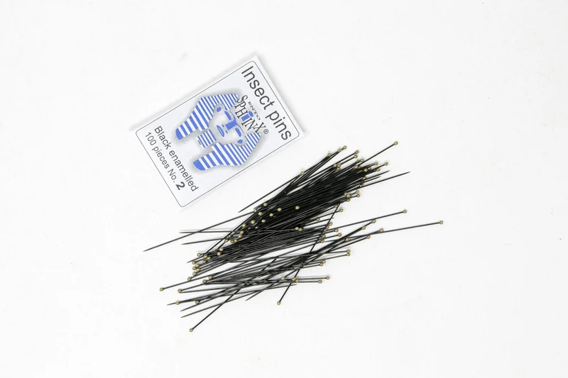 Complete Butterfly Setting Kit | Professional Lepidoptera Mounting Equipment & Specimens